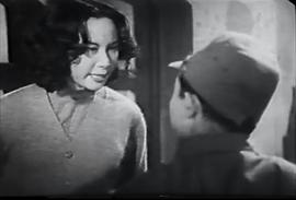 花姑娘 圖9