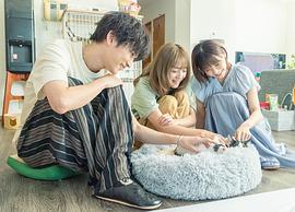 三日月與貓 圖2