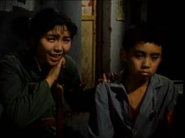 楓 圖10