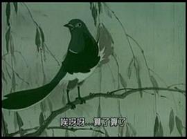 小燕子 圖9