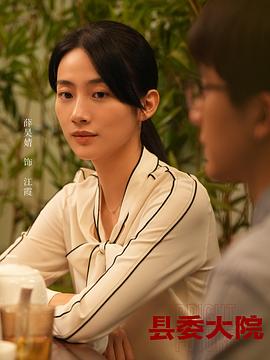 县委大院1—36集电视剧剧情介绍 图7