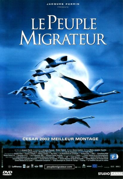 带鸟迁徙的电影