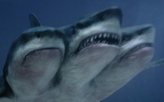 夺命巨鲨3