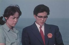 沙鷗 圖3