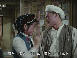 五朵金花 圖2