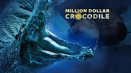 百万巨鳄电影免费观看 图8