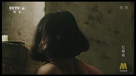 红樱桃 图2