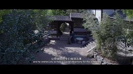 王朝的女人·杨贵妃 图9