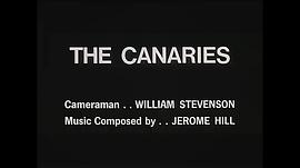 The Canaries 圖1
