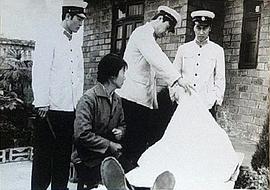 峨眉飛盜 圖4
