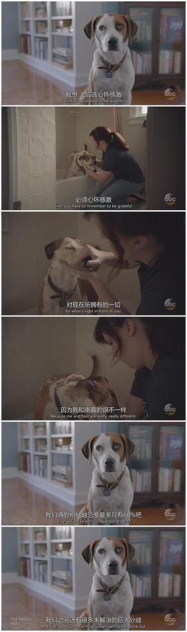萌犬先生 圖2