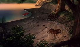 狐狸和狗的动画片有哪些 图1