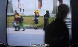 太陽花桌面圖片 圖8