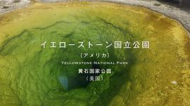 THE 世界遺產(chǎn) 4K 圖5