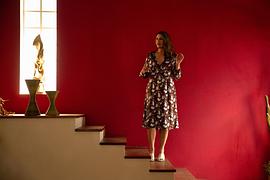 艾米莉亞·佩雷斯 圖4