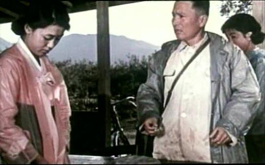 朝鲜电影摘苹果的时候演员表
