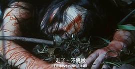山狗 圖5