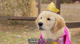 超級巴迪 圖3