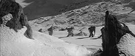 喜馬拉雅山雪怪 圖8