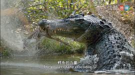 世上最藍的海 圖9
