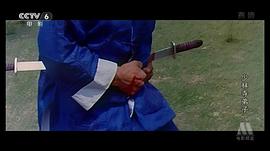 少林寺弟子 圖7