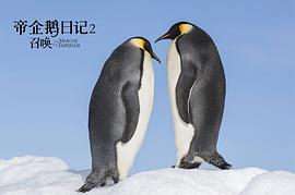 帝企鹅日记2免费观看国语版 图8