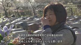 紀(jì)實(shí)72小時 樹木葬 櫻花樹下來見你 圖4