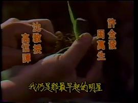 陳喬恩主演電視劇 圖3