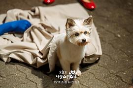 今天可爱的狗韩剧免费观看 图1