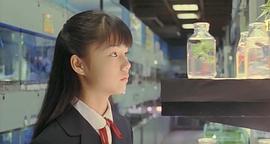 害蟲 圖1