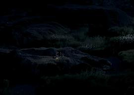 夜夜看電影網(wǎng) 圖10