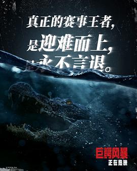 巨鱷風(fēng)暴 圖6