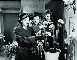 女人萬歲 圖8