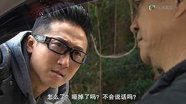 TVB警匪片 图3
