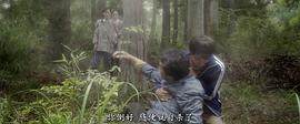 岸边之旅豆瓣 图7