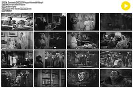 禮帽制作 圖4