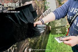猩球崛起：新世界 图7