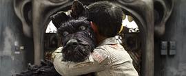 犬之島 圖10