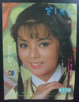 黃日華版十三太保演員表 圖7