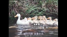水谷豐版淺見光彥4：美濃路殺人事件 圖2
