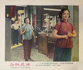 向陽花開 圖5