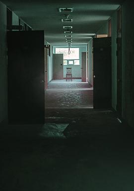 主播 圖3