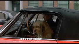妙探機(jī)靈狗 圖8