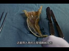 殺手安全套 圖8