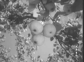 紅石鐘聲 圖3
