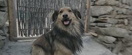 婚姻的兩種猜想劇情介紹 圖9