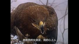 神探格雷迪 圖1