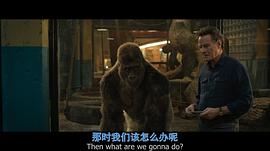 男主叫伊萬(wàn)的俄羅斯電影 圖2