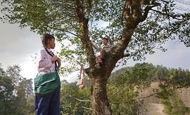 起初 圖9