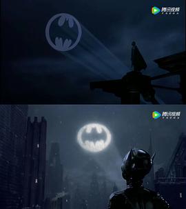 蝙蝠侠1992动画片国语 图8